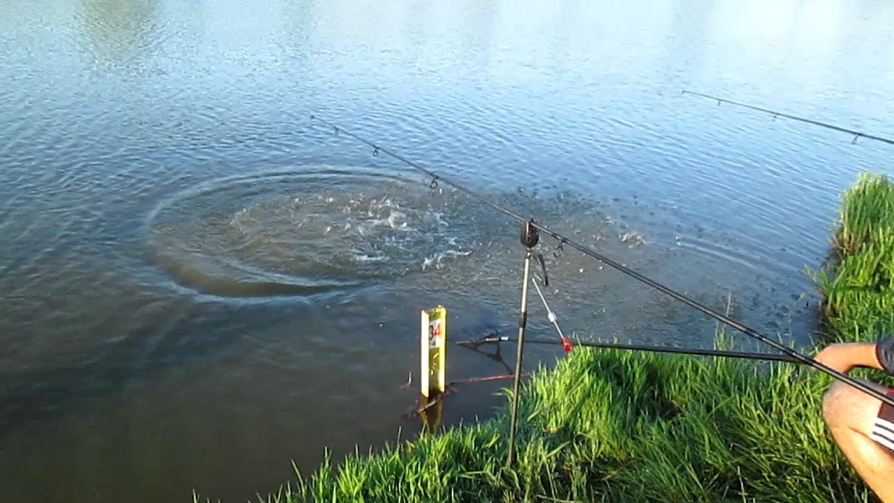 mv2 - mvi243121-09-40.JPG